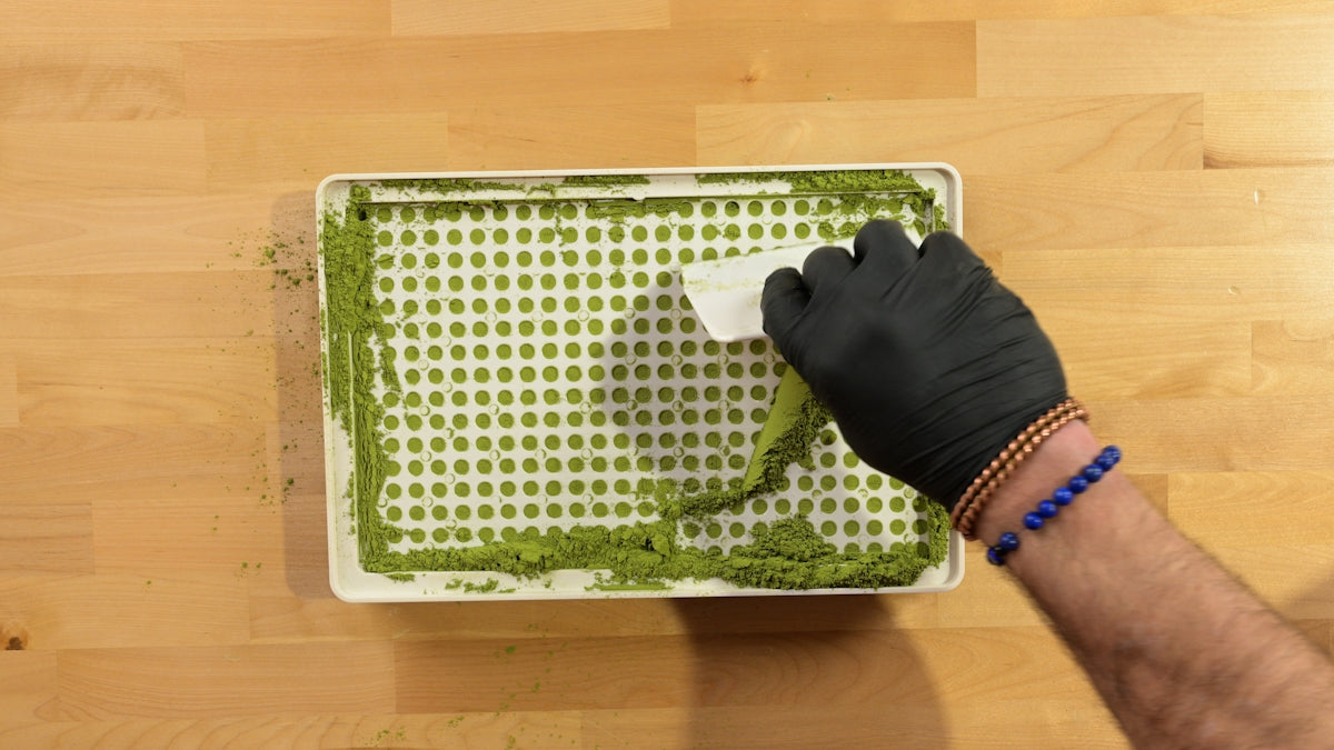 Gloved hand spreads green mixture on white tray